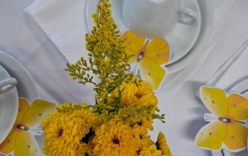 Café de Mulheres – “Depressão: Uma Conversa Franca”